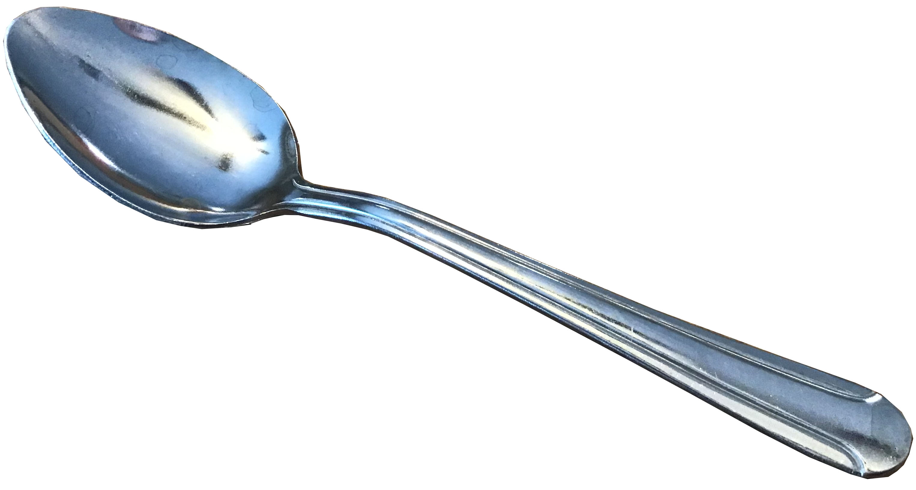 tea spoons (stainless steel, International Gourmet by Ardous)