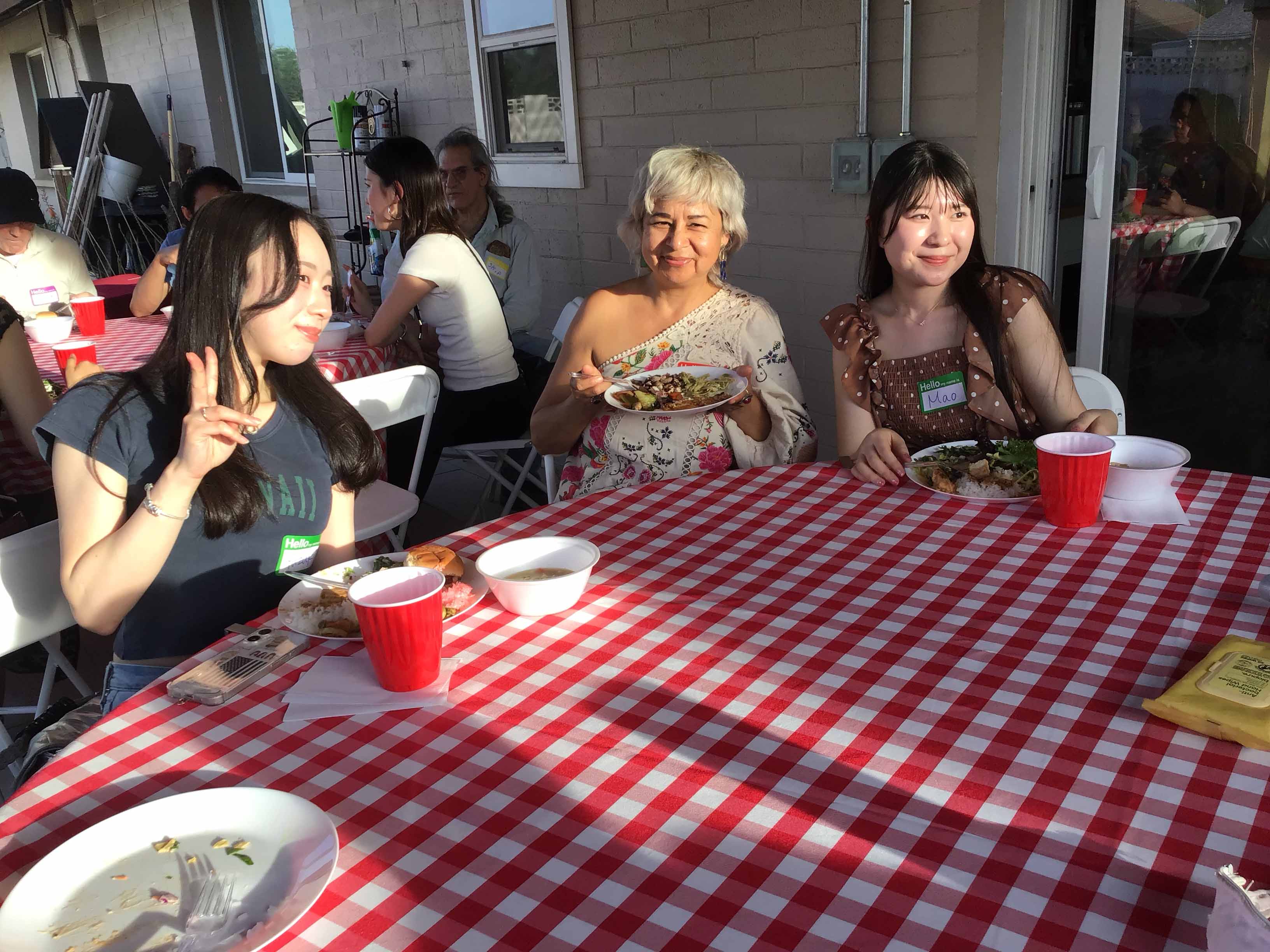 round tablecloths (white/red buffalo plaid checkered gingham) - 108