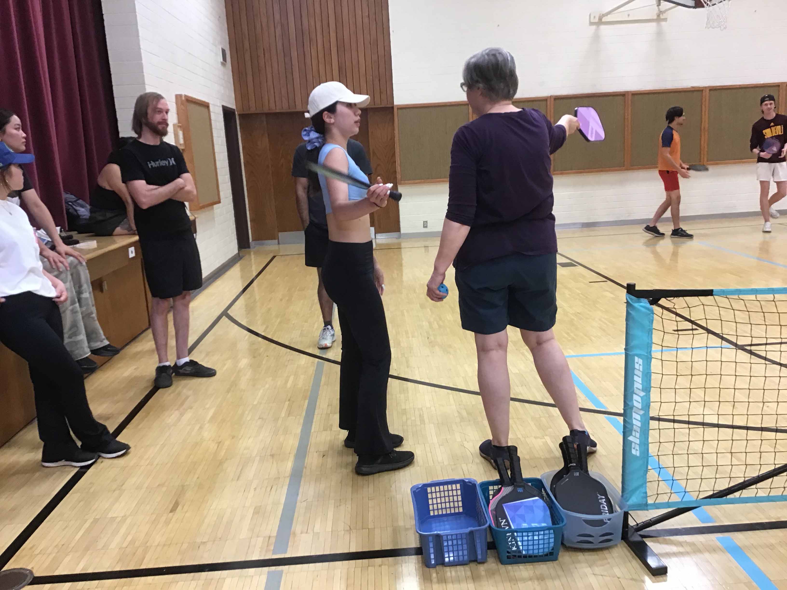 pickleball nets
