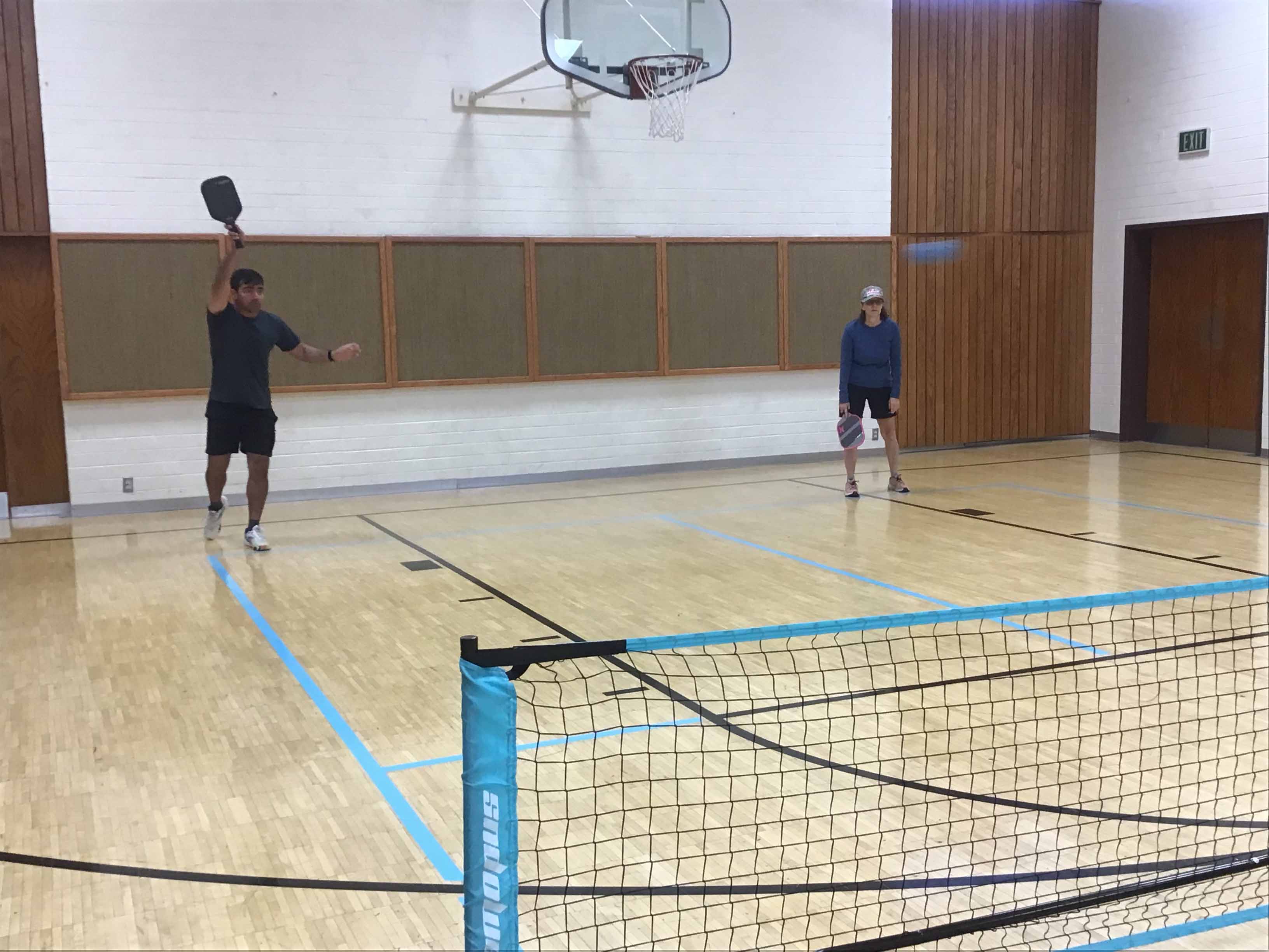 pickleball nets