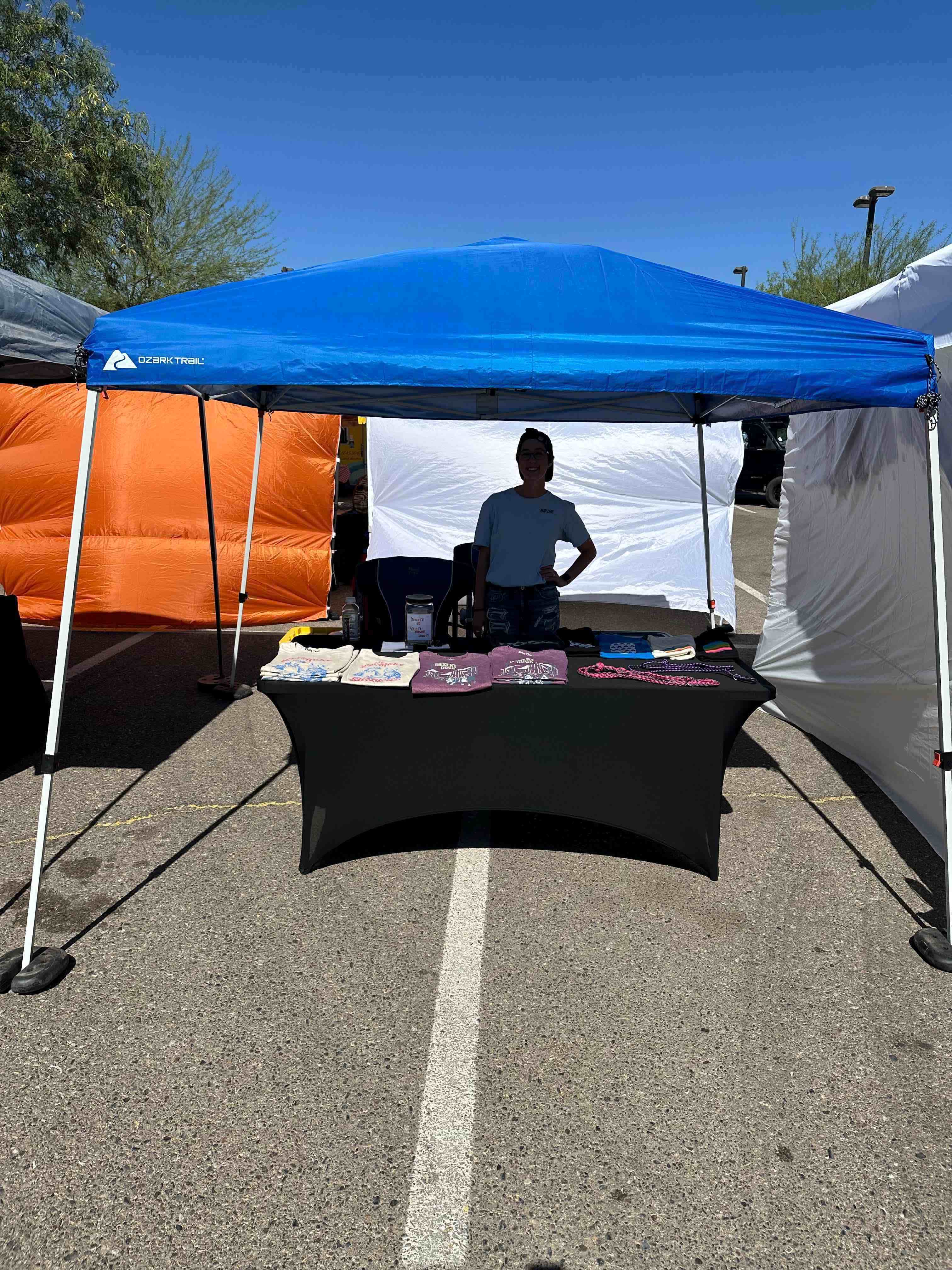 slant leg canopy tent (10 ft. x 10 ft.) - blue