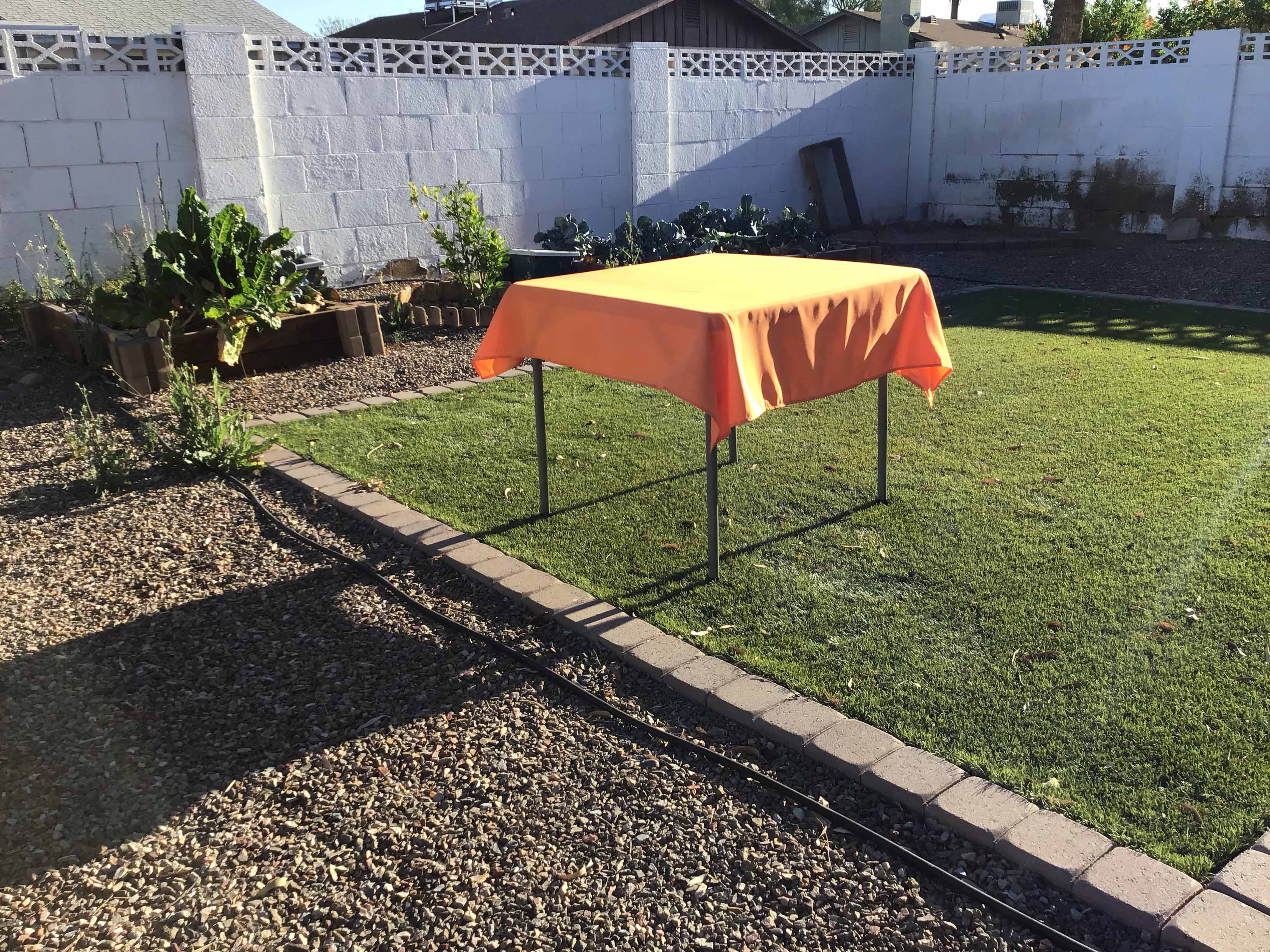 square tablecloths (orange) - 54