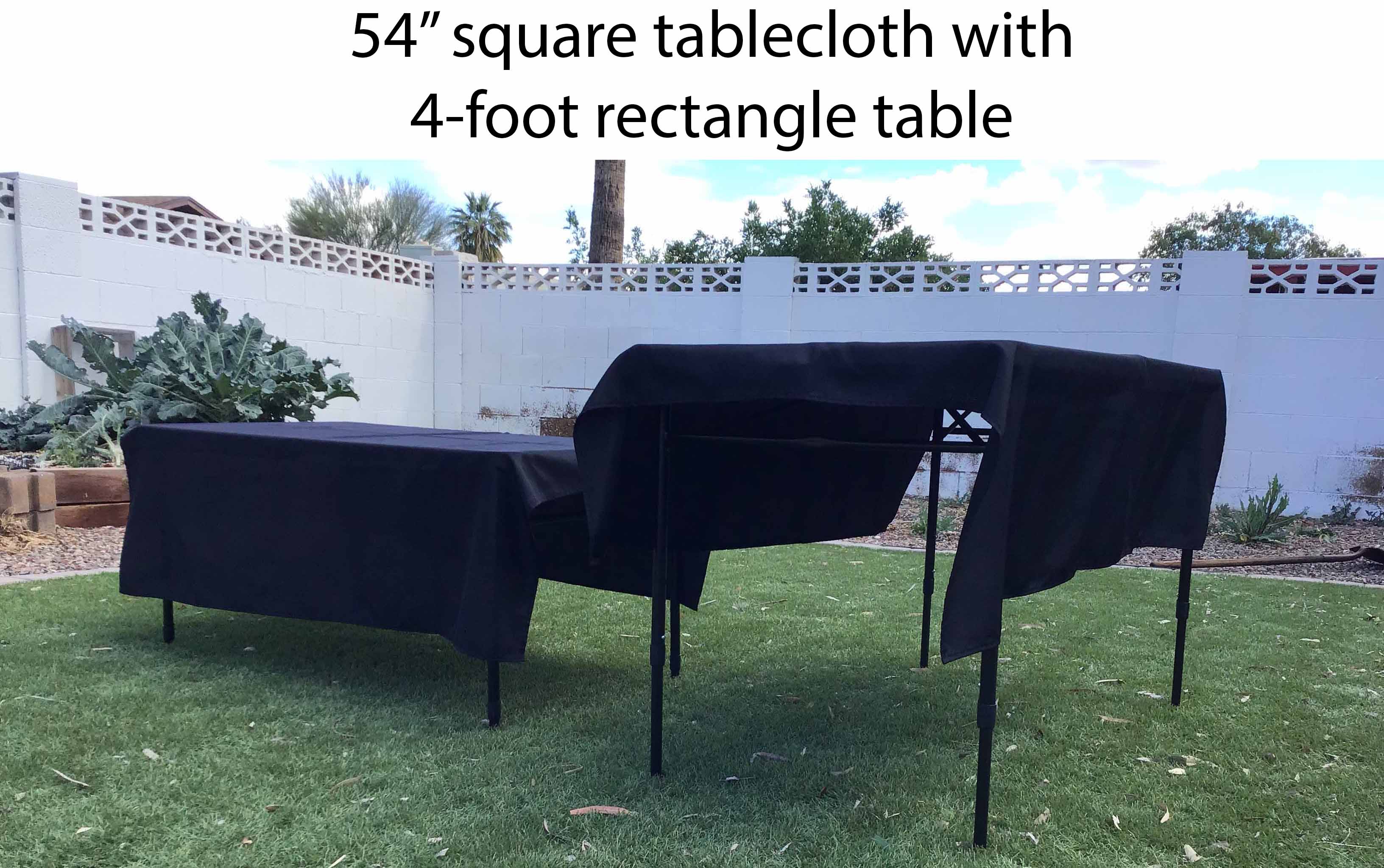 4 foot rectangle tables (adjustable heights)