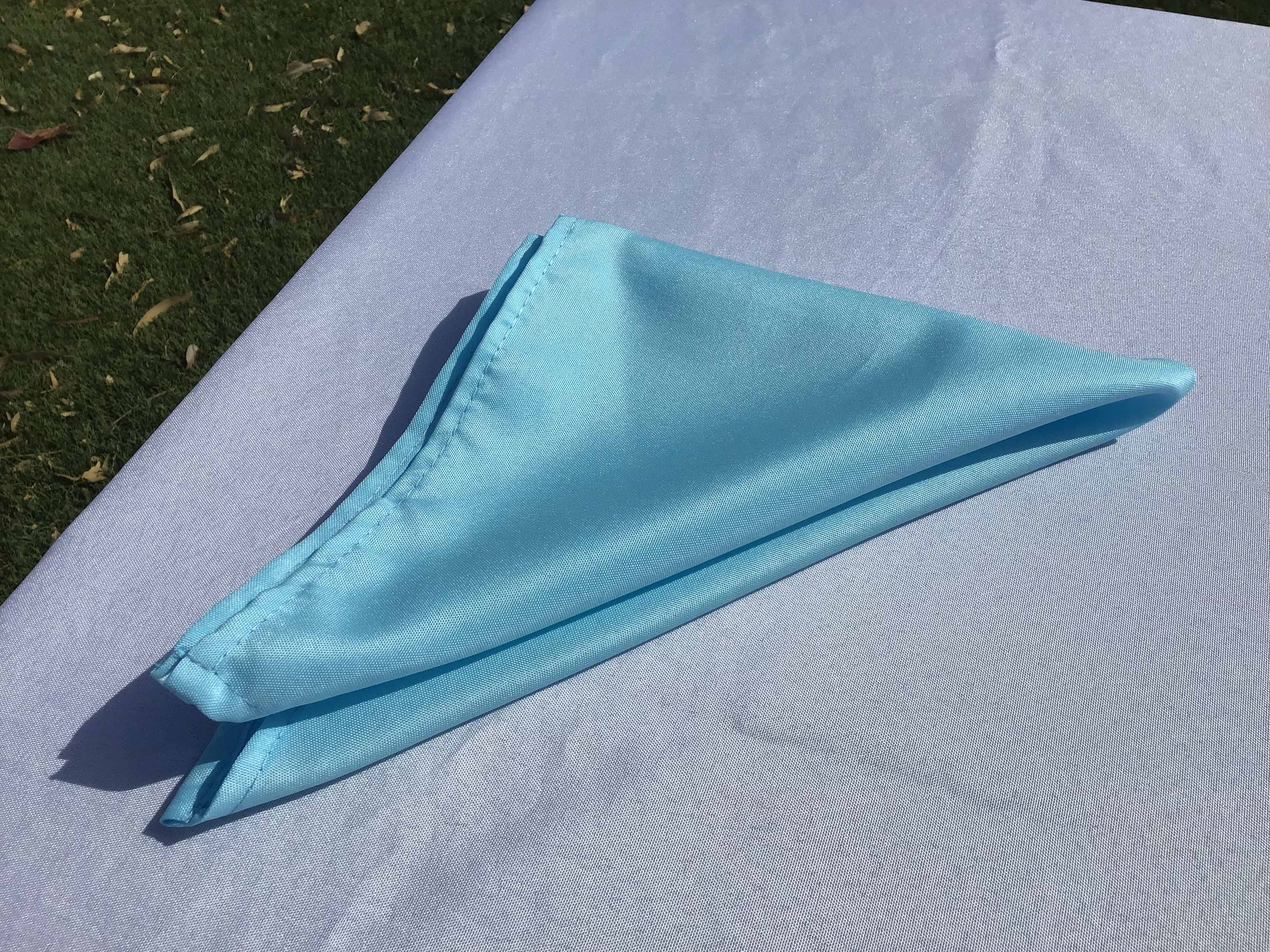 cloth dinner napkins (light blue) - 17 x 17