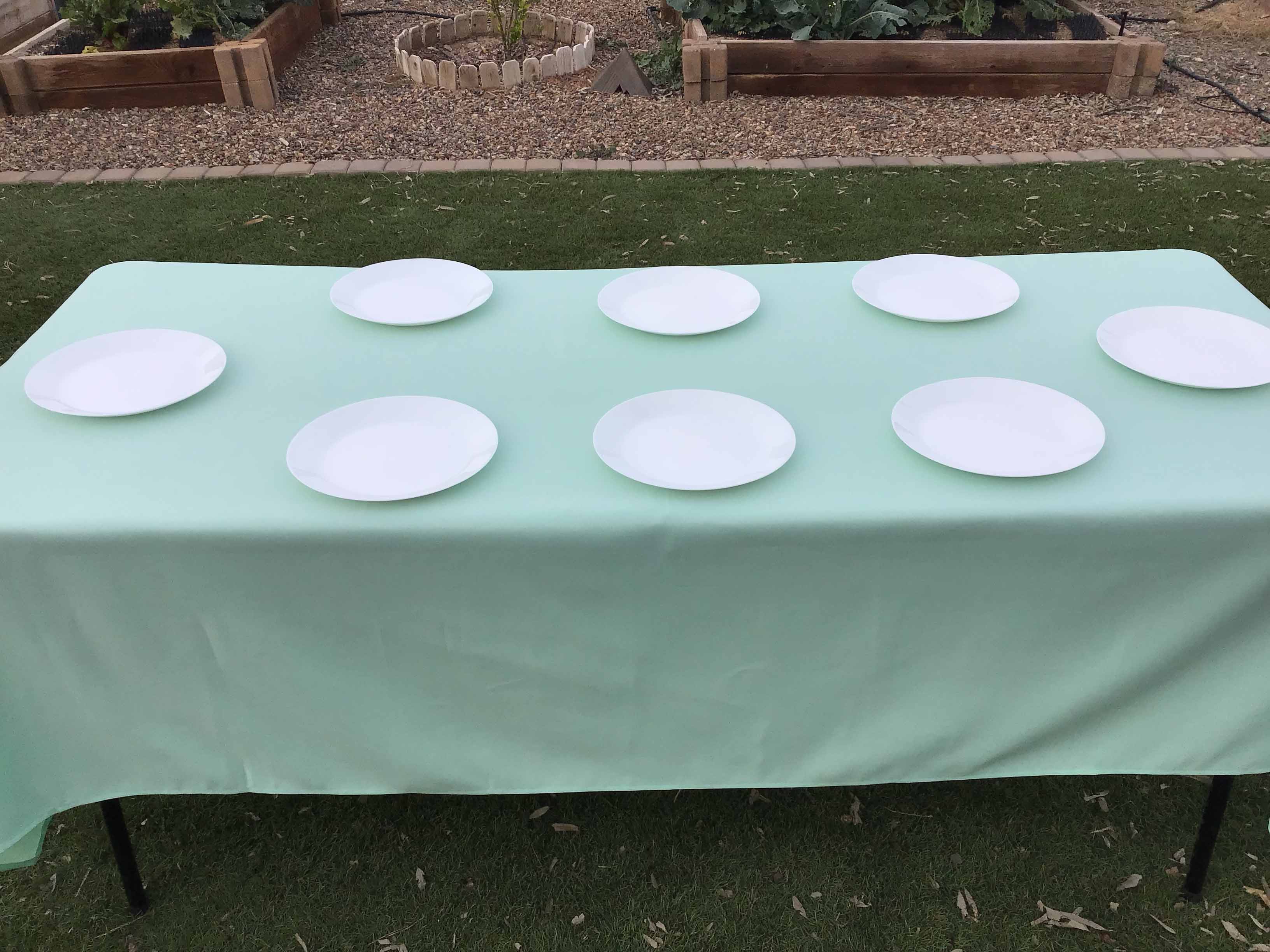 rectangle tablecloths (mint green) - 60 x 102