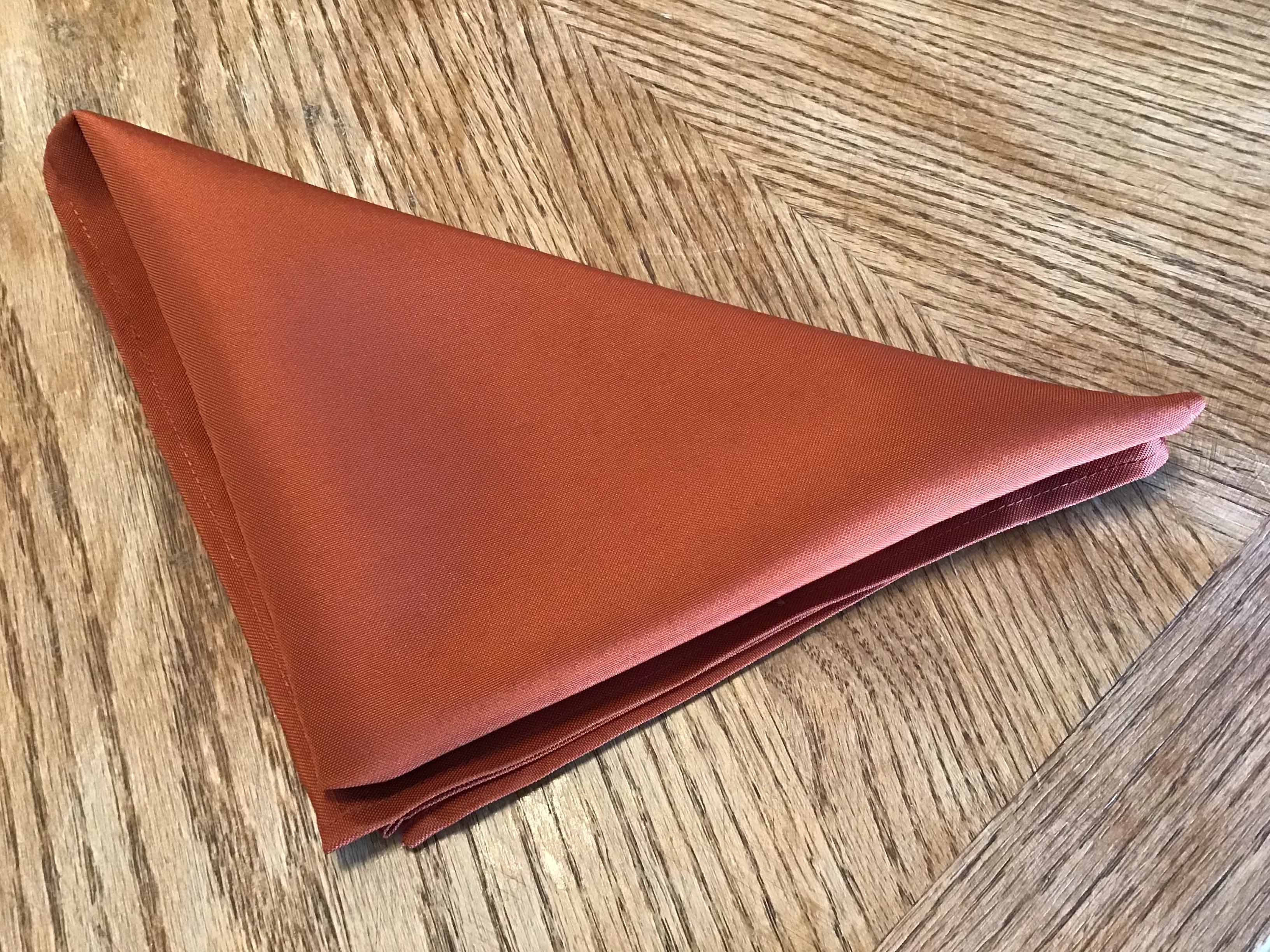 cloth dinner napkins (rust) - 20 x 20