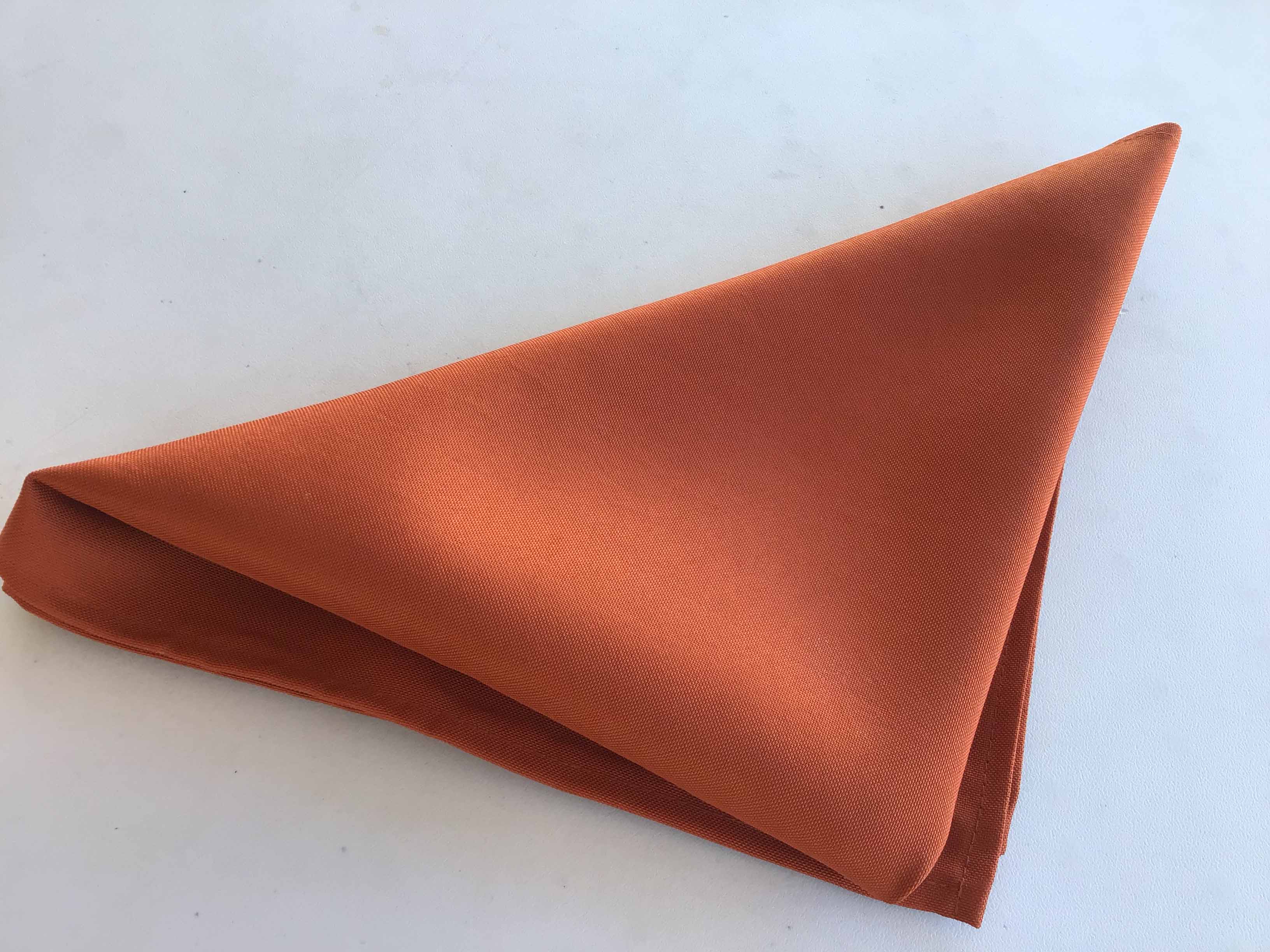 cloth dinner napkins (rust) - 20 x 20