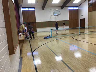 pickleball nets