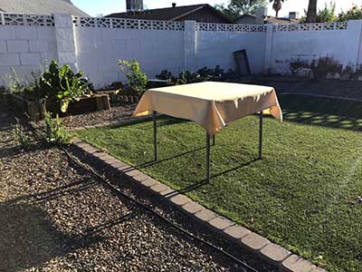 square tablecloths (champagne) - 54