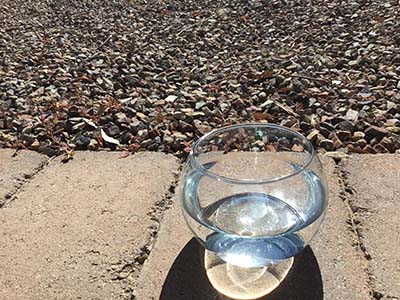 glass fish bowl vase (3.3 x 2.8 x 3.5)