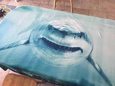 backdrop / tablecloth (fabric, shark) - 72 x 96
