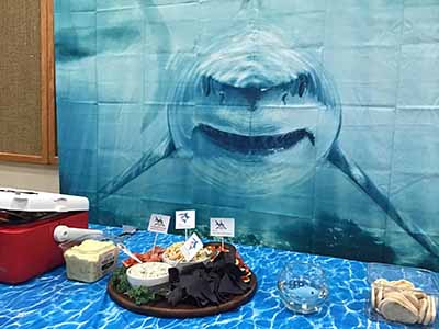 backdrop / tablecloth (fabric, shark) - 72 x 96