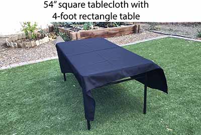 4 foot rectangle tables (adjustable heights)