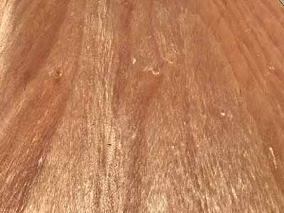 5 foot round tables (wood top)