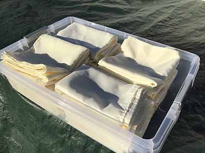 cloth dinner napkins (ivory) - 17 x 17