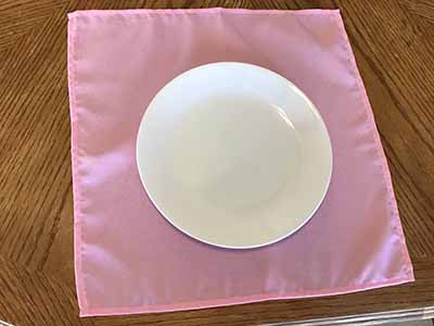 cloth dinner napkins (pink) - 17 x 17