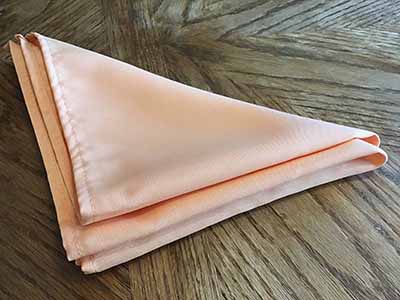 cloth dinner napkins (peach) - 20 x 20
