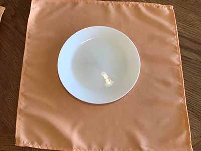 cloth dinner napkins (peach) - 20 x 20