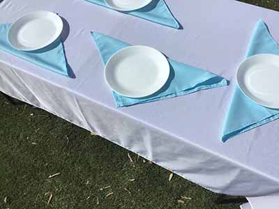 cloth dinner napkins (light blue) - 17 x 17
