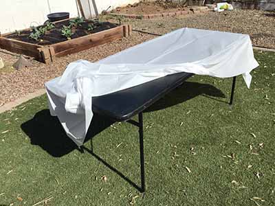 rectangle tablecloth (white, plastic, disposable) - 54 x 108