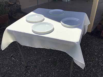 square tablecloths (ivory) - 54