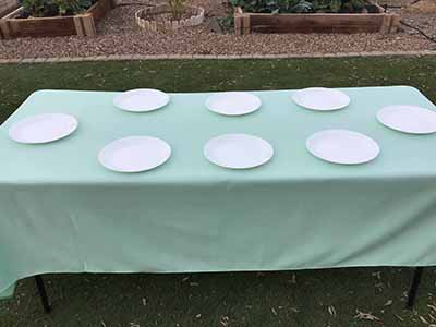 rectangle tablecloths (mint green) - 60 x 102