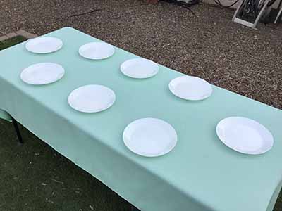 rectangle tablecloths (mint green) - 60 x 102