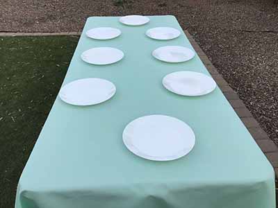 rectangle tablecloths (mint green) - 60 x 102