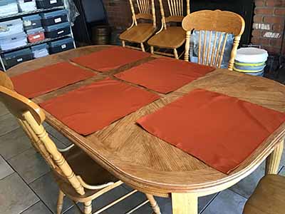 cloth dinner napkins (rust) - 20 x 20