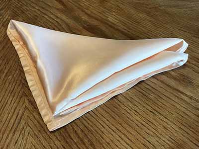 cloth dinner napkins (peach, satin) - 20 x 20