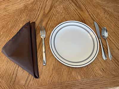 cloth dinner napkins (chocolate) - 17 x 17