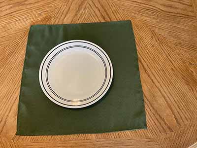 cloth dinner napkins (olive green) - 17 x 17