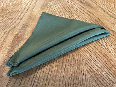 cloth dinner napkins (olive green) - 17 x 17