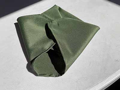 cloth dinner napkins (olive green) - 17 x 17