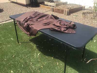 rectangle tablecloths (chocolate) - 60 x 102