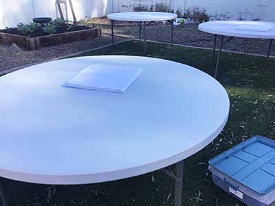 60 inch x 126 inch white rectangle tablecloths pulled directly from storage tote and put onto eight-foot rectangle tables