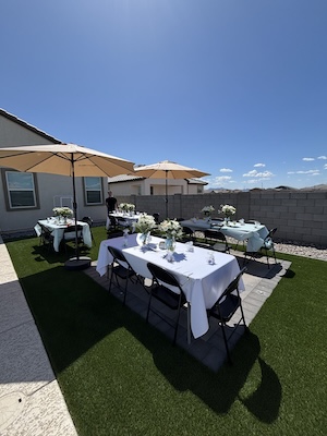 folding chairs (steel, black)