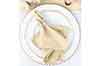 cloth dinner napkins  beige    17  x 17 
