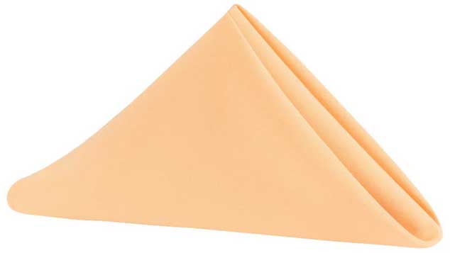 cloth dinner napkins (peach) - 20 x 20
